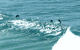 Beach Trekkers North Stradbroke Island - thumb 2