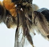 Western Australian Museum - Accommodation Melbourne