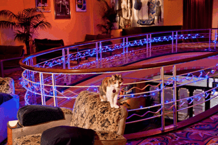 The Astor Theatre - Accommodation Melbourne 3