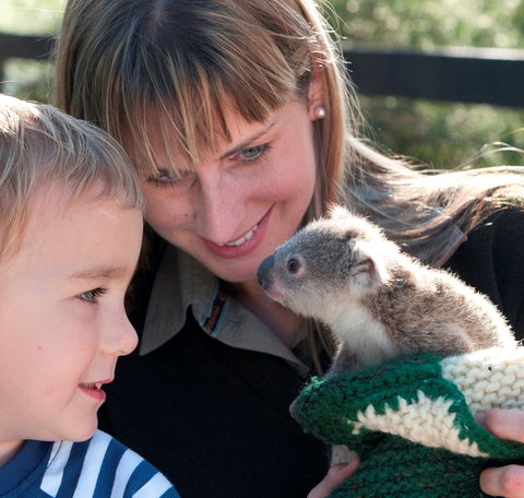 Australian Reptile Park - Accommodation Melbourne 1