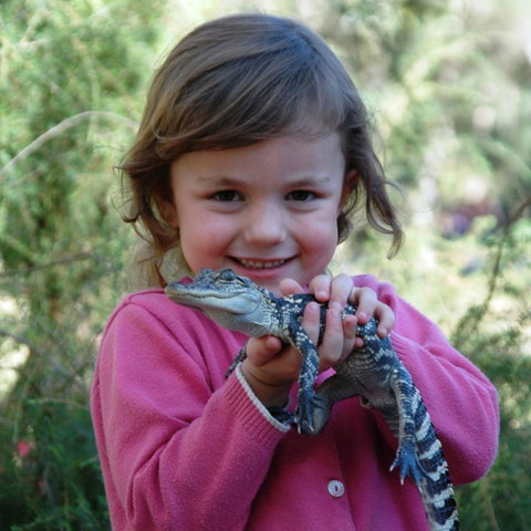 Australian Reptile Park - Accommodation Melbourne 2