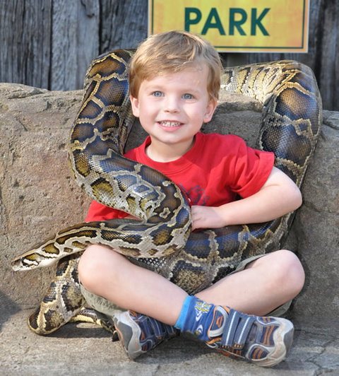 Australian Reptile Park - Accommodation Melbourne 3