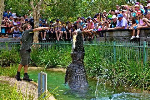 Australian Reptile Park - Accommodation Melbourne 4