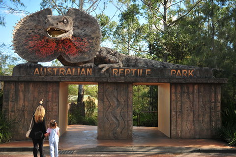 Australian Reptile Park - Accommodation Melbourne 5