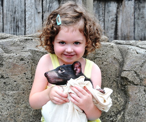 Australian Reptile Park - Accommodation Melbourne 8