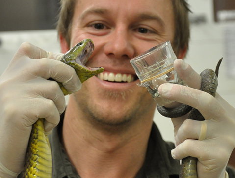 Australian Reptile Park - Accommodation Melbourne 9