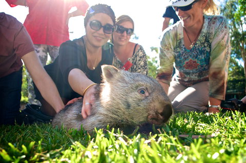 Australian Reptile Park - Accommodation Melbourne 10