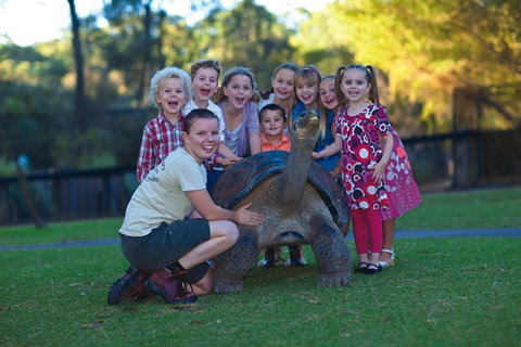 Australian Reptile Park - Accommodation Melbourne 11
