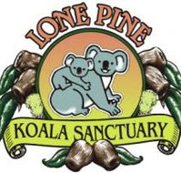 Lone Pine Koala Sanctuary - Accommodation Melbourne
