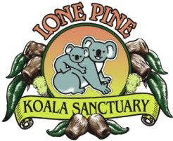 Lone Pine Koala Sanctuary - Accommodation Melbourne 0