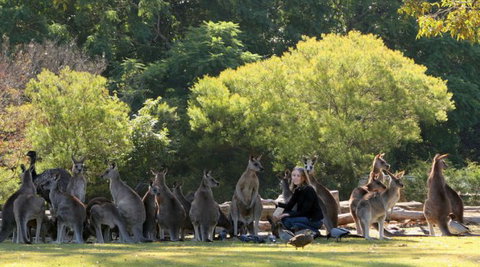 Lone Pine Koala Sanctuary - Accommodation Melbourne 1