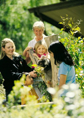 Cleland Wildlife Park - Accommodation Melbourne 5