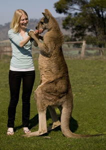 Zoo Doo Wildlife Park - Accommodation Melbourne 5
