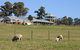Calmsley Hill City Farm - thumb 3