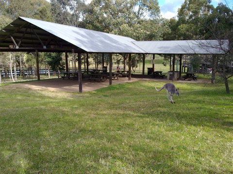 Calmsley Hill City Farm - Accommodation Melbourne 5