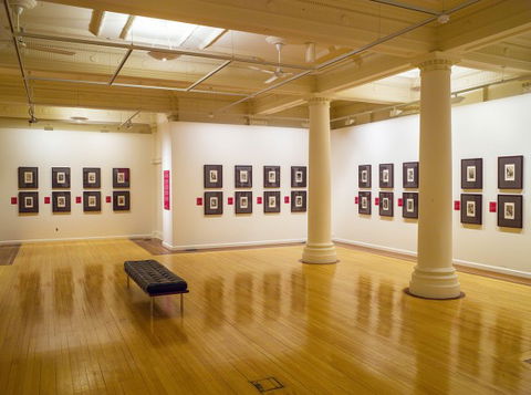 Cairns Regional Gallery - Accommodation Melbourne 2