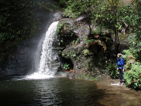 Blue Mountains Adventure Company - Accommodation Melbourne 1