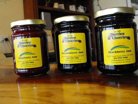 Blue Hills Berries & Cherries - Accommodation Melbourne 1