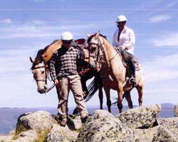 High Country Horses - Accommodation Melbourne 3