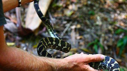Queensland Day Tours - Accommodation Melbourne 1