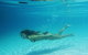 Queensland Day Tours - thumb 8