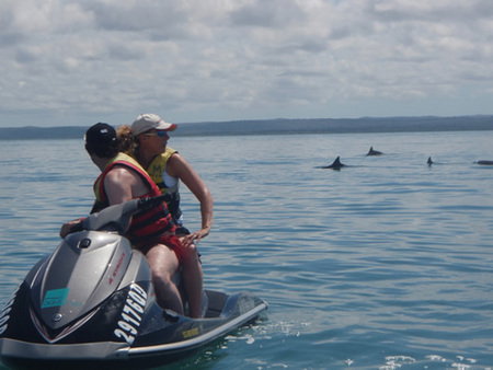 Aquavue Cafe Watersports - Accommodation Melbourne 5