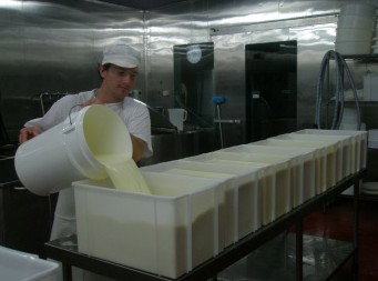 Witches Chase Cheese Co - Accommodation Melbourne 1