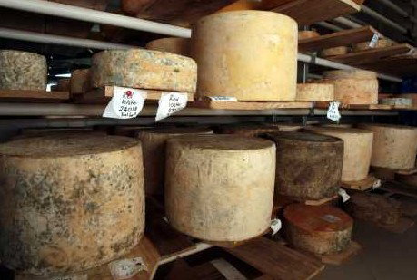 Witches Chase Cheese Co - Accommodation Melbourne 3