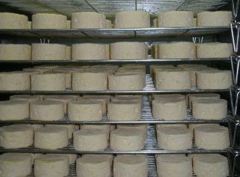 Witches Chase Cheese Co - Accommodation Melbourne 5