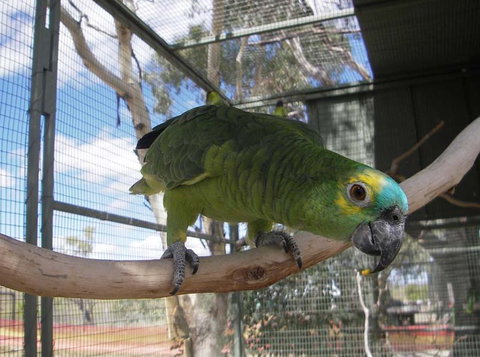 Darling Downs Zoo - Accommodation Melbourne 1