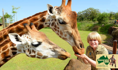 Australia Zoo - Accommodation Melbourne 4