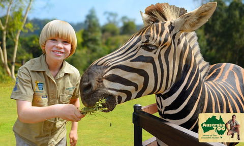 Australia Zoo - Accommodation Melbourne 5