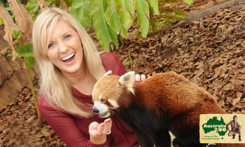 Australia Zoo - Accommodation Melbourne 7
