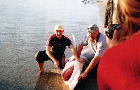 True Blue Fishing Charters - Accommodation Melbourne 1