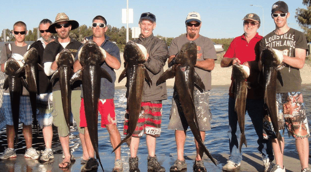 BKs Gold Coast Fishing Charters - Accommodation Melbourne 1