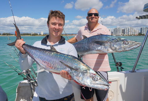 BKs Gold Coast Fishing Charters - Accommodation Melbourne 6