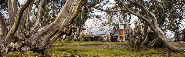 High Country Scenic Tours - Accommodation Melbourne 0