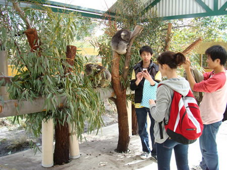 Caversham Wildlife Park - Accommodation Melbourne 4