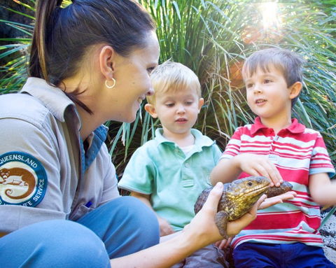 David Fleay Wildlife Park - Accommodation Melbourne 3