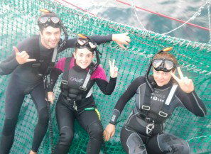 Dolphin Swim Australia - Accommodation Melbourne 7
