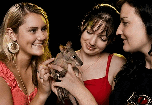 Cairns Night Zoo - Accommodation Melbourne 1