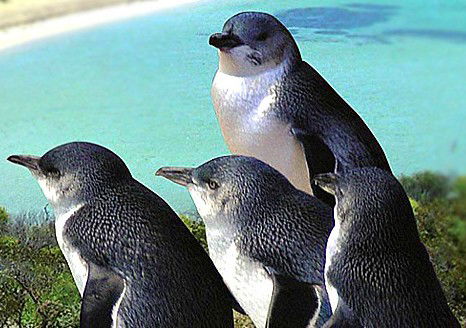  Accommodation Melbourne