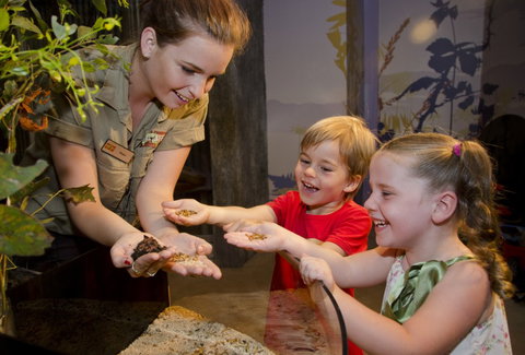 WILD LIFE Sydney Zoo - Accommodation Melbourne 1