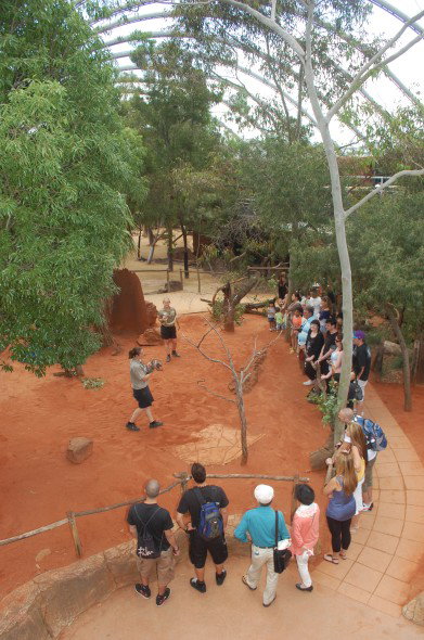 WILD LIFE Sydney Zoo - Accommodation Melbourne 2