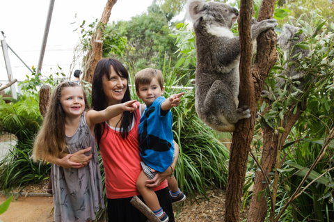WILD LIFE Sydney Zoo - Accommodation Melbourne 3