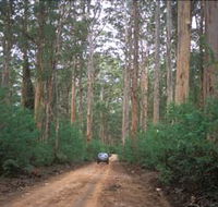 Boranup Drive - Accommodation Melbourne