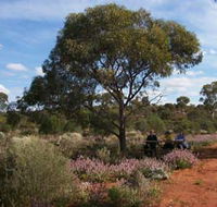 Karlkurla Bushland Park - Accommodation Melbourne