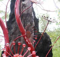 Understory Art In Nature - Accommodation Melbourne