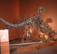 Denmark Dinosaur World - Accommodation Melbourne