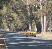 Ludlow Tuart Forest - Accommodation Melbourne